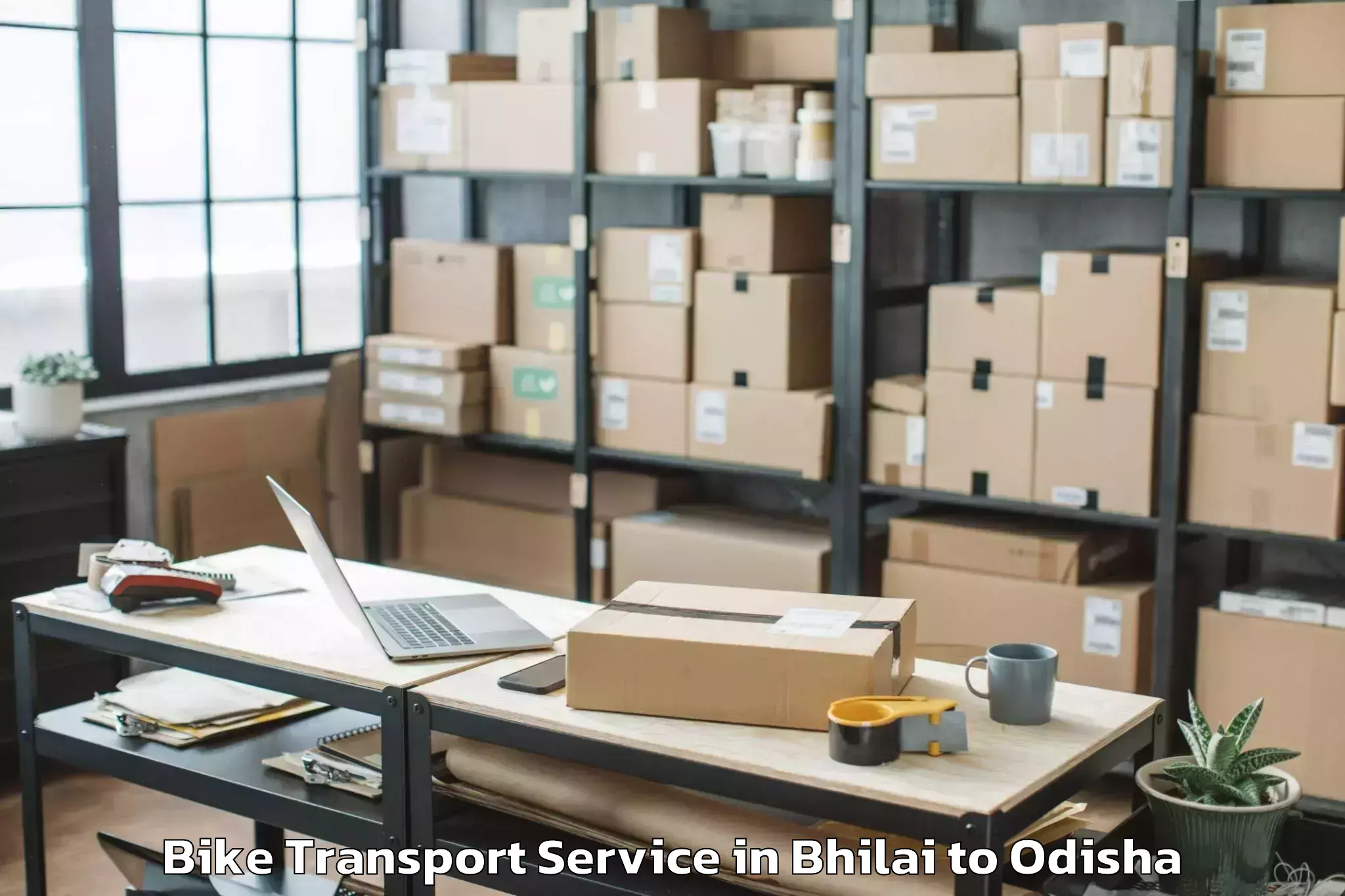 Expert Bhilai to Burla Bike Transport